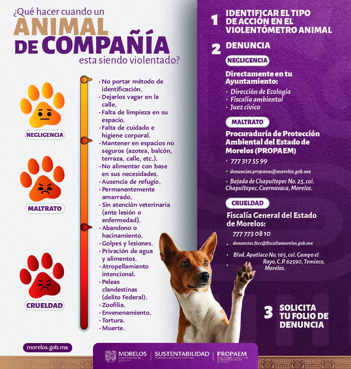 Animal de compañia