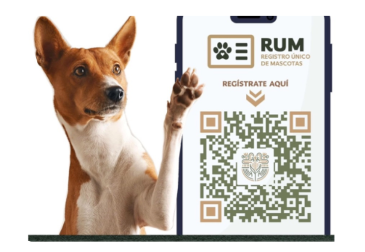 registro mascota